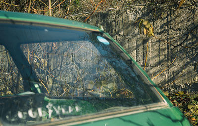 Abandoned car in park