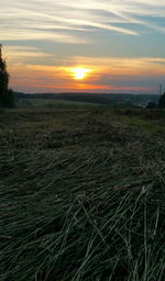 Scenic view of landscape at sunset