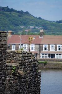 Plants growing on stone wall of historic castle