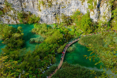 High angle view of trees by lake