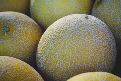 Close-up of oranges on table