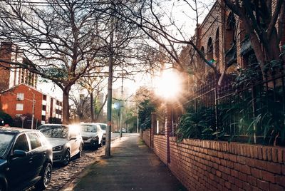Street amidst trees and buildings in city