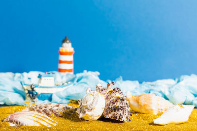 Close-up of food on beach against blue sky