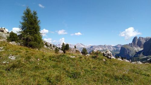 Scenic view of landscape against sky