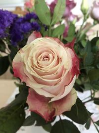 Close-up of rose bouquet