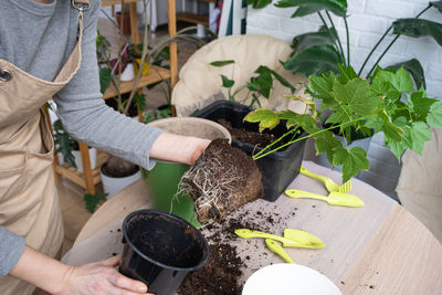 High angle view of man holding potted plant