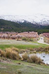 Scenic view of lake by field against sky