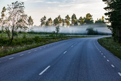 Road amidst trees and forest against sky