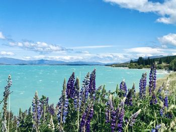 Scenic view of sea against blue sky