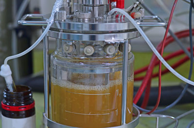 Close-up of beer in glass on table