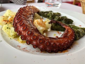 Close-up of meal served in plate