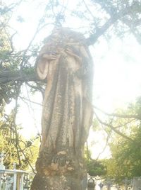 Low angle view of statue against trees