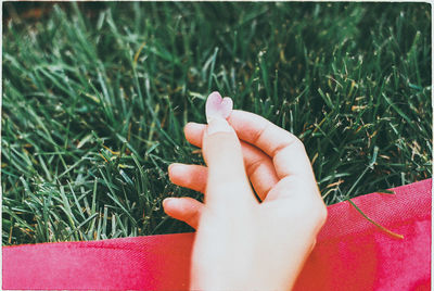 Cropped hand of person holding heart shape petal over grass