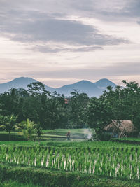 Scenic view of mountains against cloudy sky