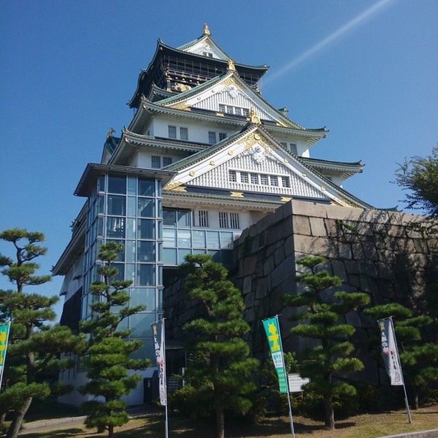 building exterior, architecture, built structure, place of worship, low angle view, religion, tree, spirituality, clear sky, church, blue, temple - building, facade, sunlight, sky, day, outdoors, no people