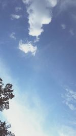 Low angle view of trees against blue sky