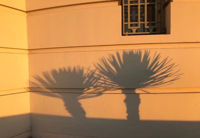 Close-up of reflection on window