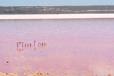 View of text on beach