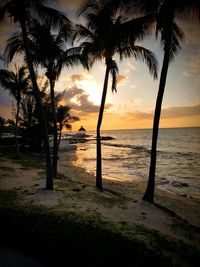 Silhouette palm trees on beach against sky during sunset