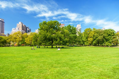 Scenic view of grassy landscape against sky at central park on sunny day