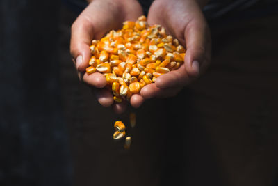 Close-up of hand holding kernel