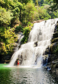 Scenic view of waterfall in forest