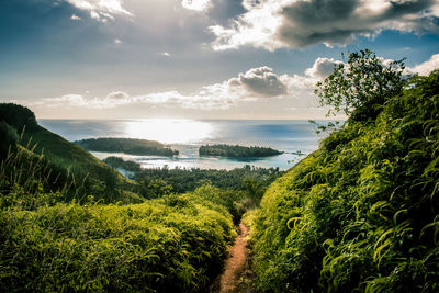 Scenic view of landscape against sky