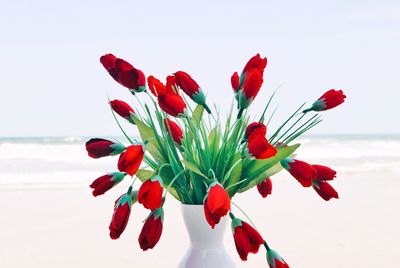 Artificial red flowers in vase against white background