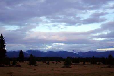 Scenic view of landscape against dramatic sky