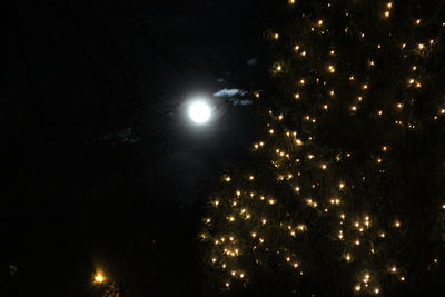 Low angle view of illuminated tree against sky at night