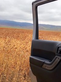 Close-up of agricultural field against sky