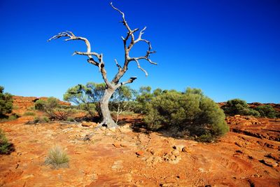 Scenic view of landscape against clear blue sky