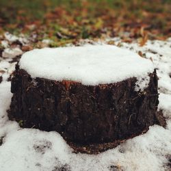 Close-up of snow on ground