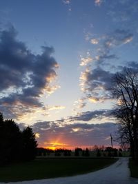 Silhouette trees on field against sky at sunset