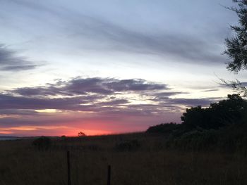 Scenic view of field against sky during sunset