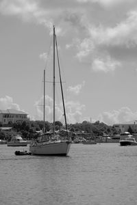 Sailboats sailing in sea against sky