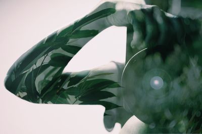 Double exposure of person photographing with digital camera and leaves against white background