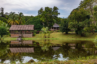 Plants by lake against building and trees against sky