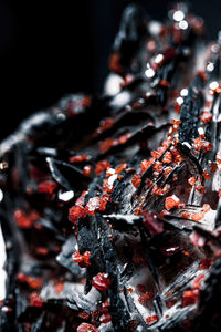 Close-up of berries on black background