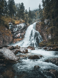 Scenic view of waterfall in forest