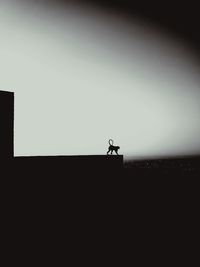 Silhouette of man standing against clear sky