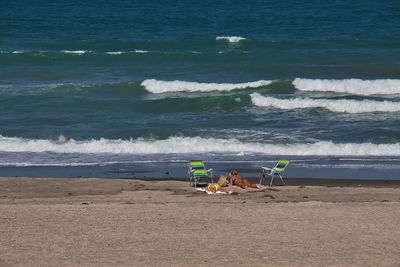 Deck chairs on beach