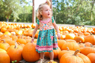 Girl standing amidst pumpkins at park during autumn