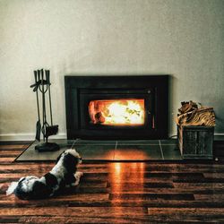 Dog resting by lit fire place at home