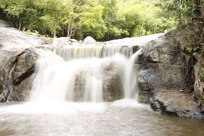 View of waterfall in forest
