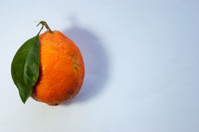 Close-up of orange fruit against white background