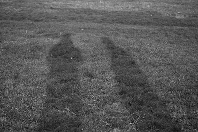 View of grassy field