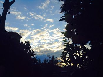 Low angle view of silhouette trees against sky at sunset