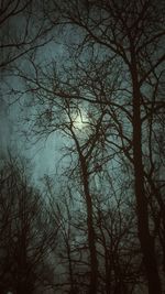 Low angle view of bare trees against sky