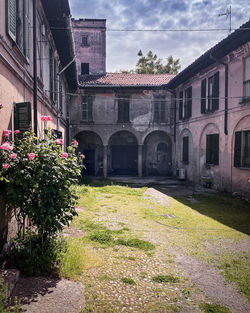 Plants and old building against cloudy sky